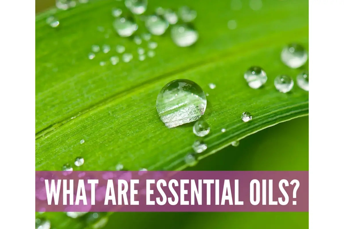 Essential Oils for Men Essential Oil Academy Digital Online Class -  AromaTools®