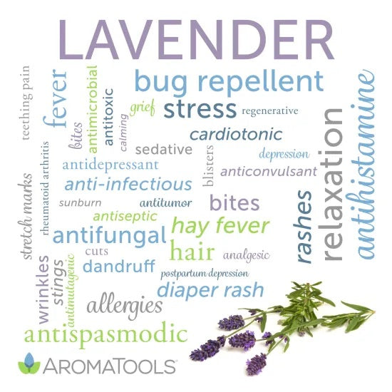 Lavender essential oil common and other possible uses
