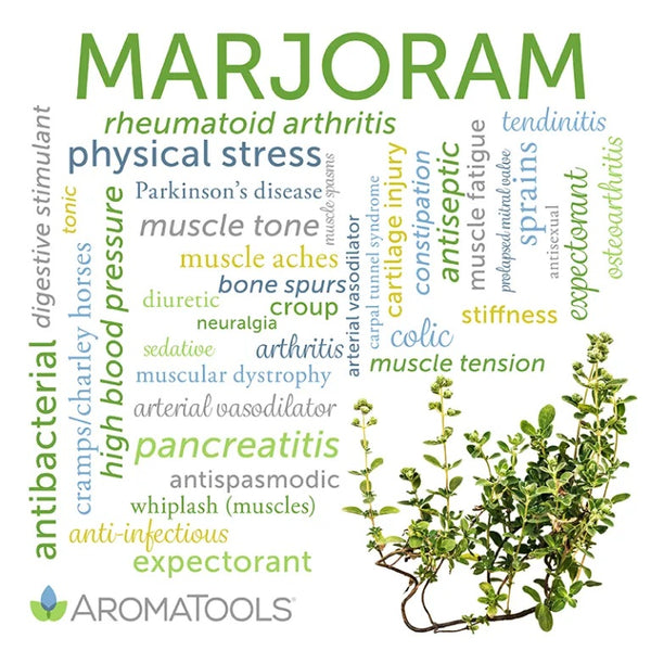 Marjoram essential oil common and other possible uses