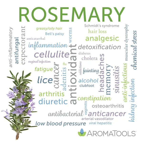 Rosemary essential oil common and other possible uses