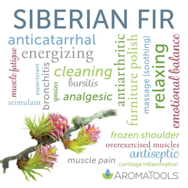Siberian fir essential oil common and other possible uses