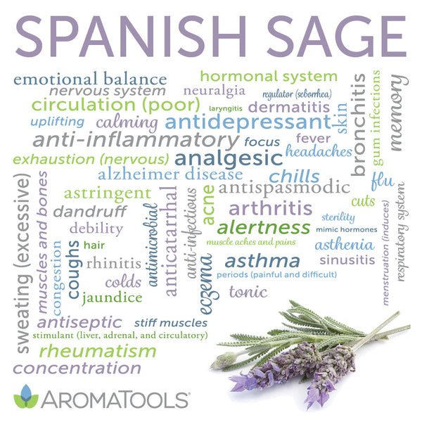 Spanish sage essential oil common and other possible uses