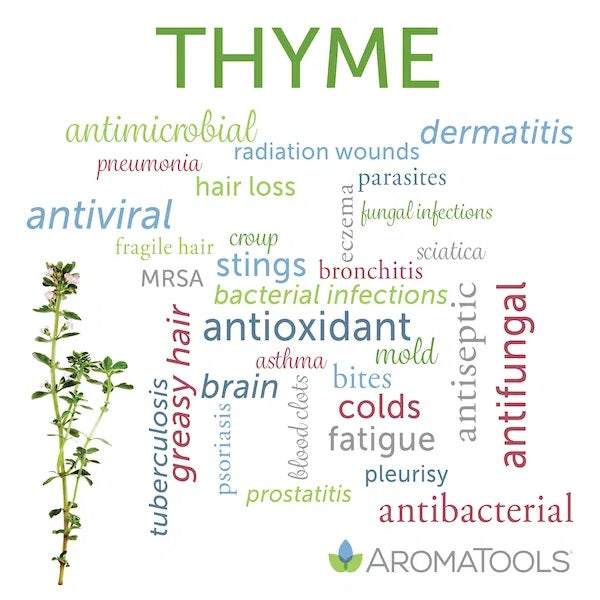 Thyme essential oil common and other possible uses