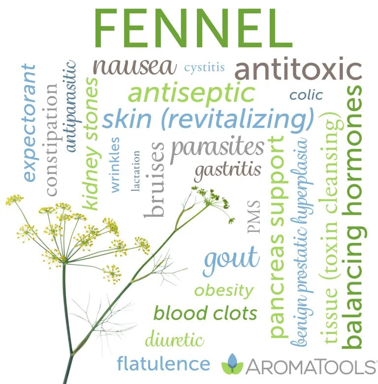 Fennel essential oil common and other possible uses
