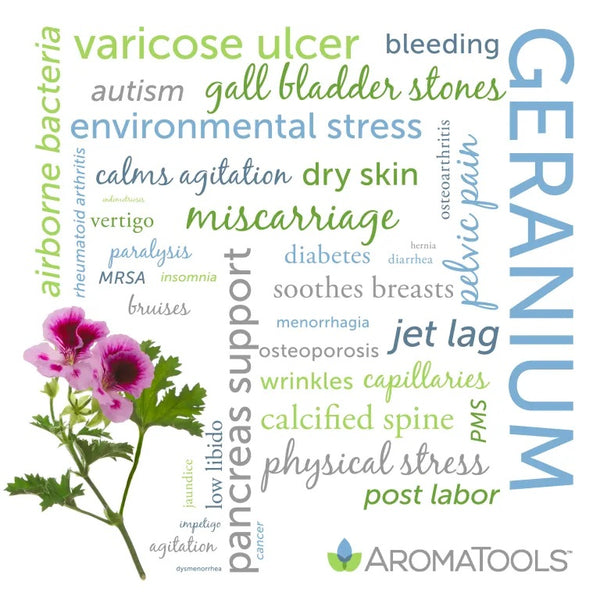 Geranium essential oil common and other possible uses