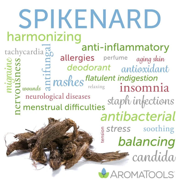 Spikenard essential oil common and other possible uses