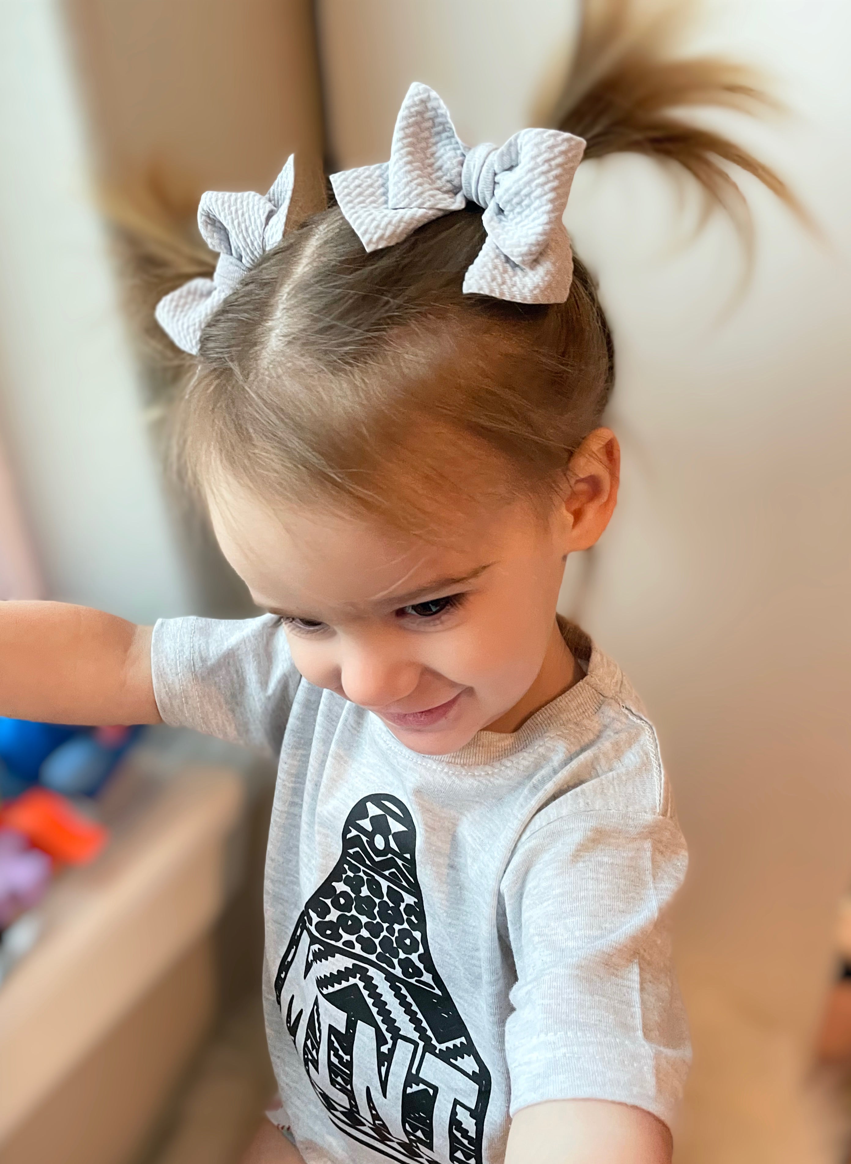 Light Grey Pigtails