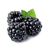 Blackberry oil anti aging face oil