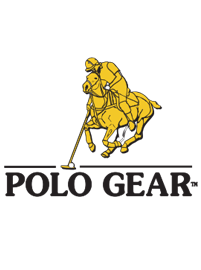 Vector image of polo player