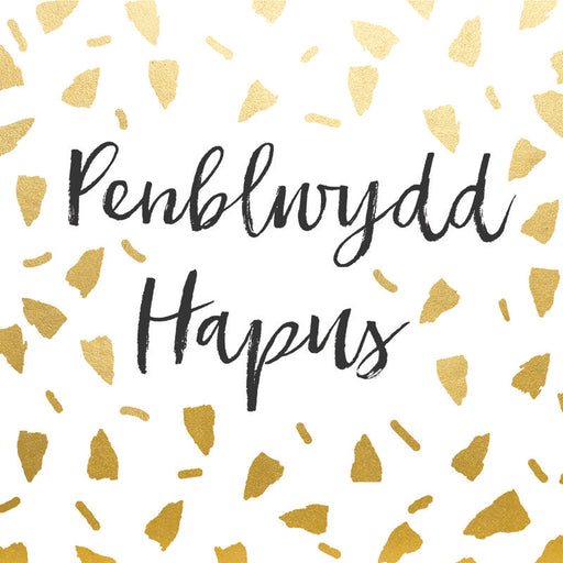 Penblwydd Hapus | Hammond Gower - Siop Y Pentan