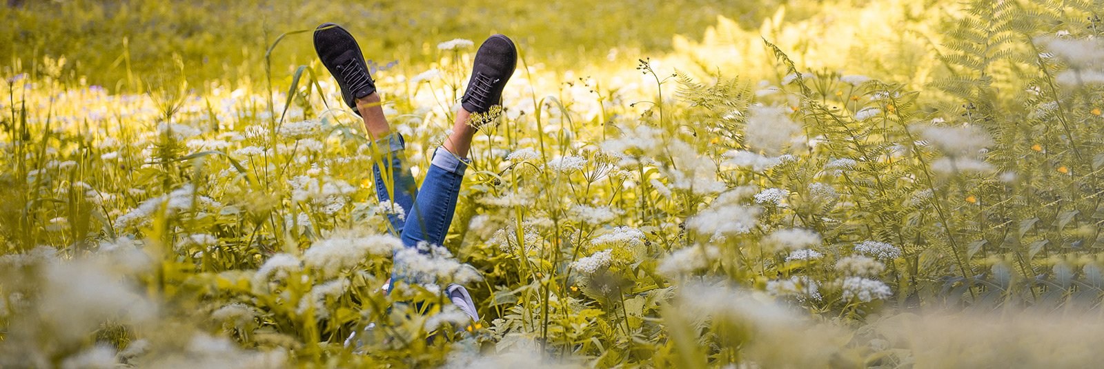 Baabuk - Wool Sneakers & Wool Slippers