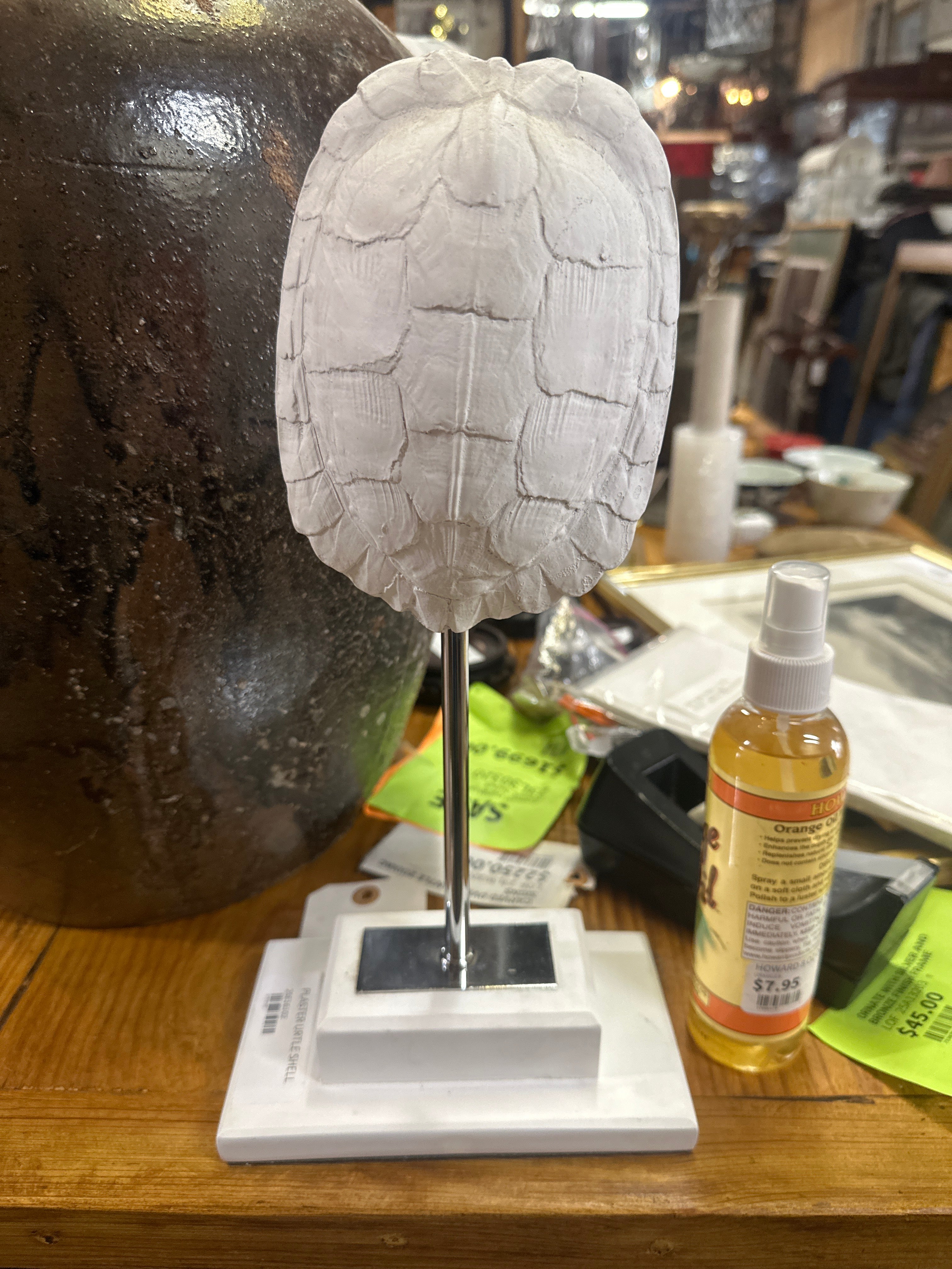 Turtle Shell Made of PLASTER