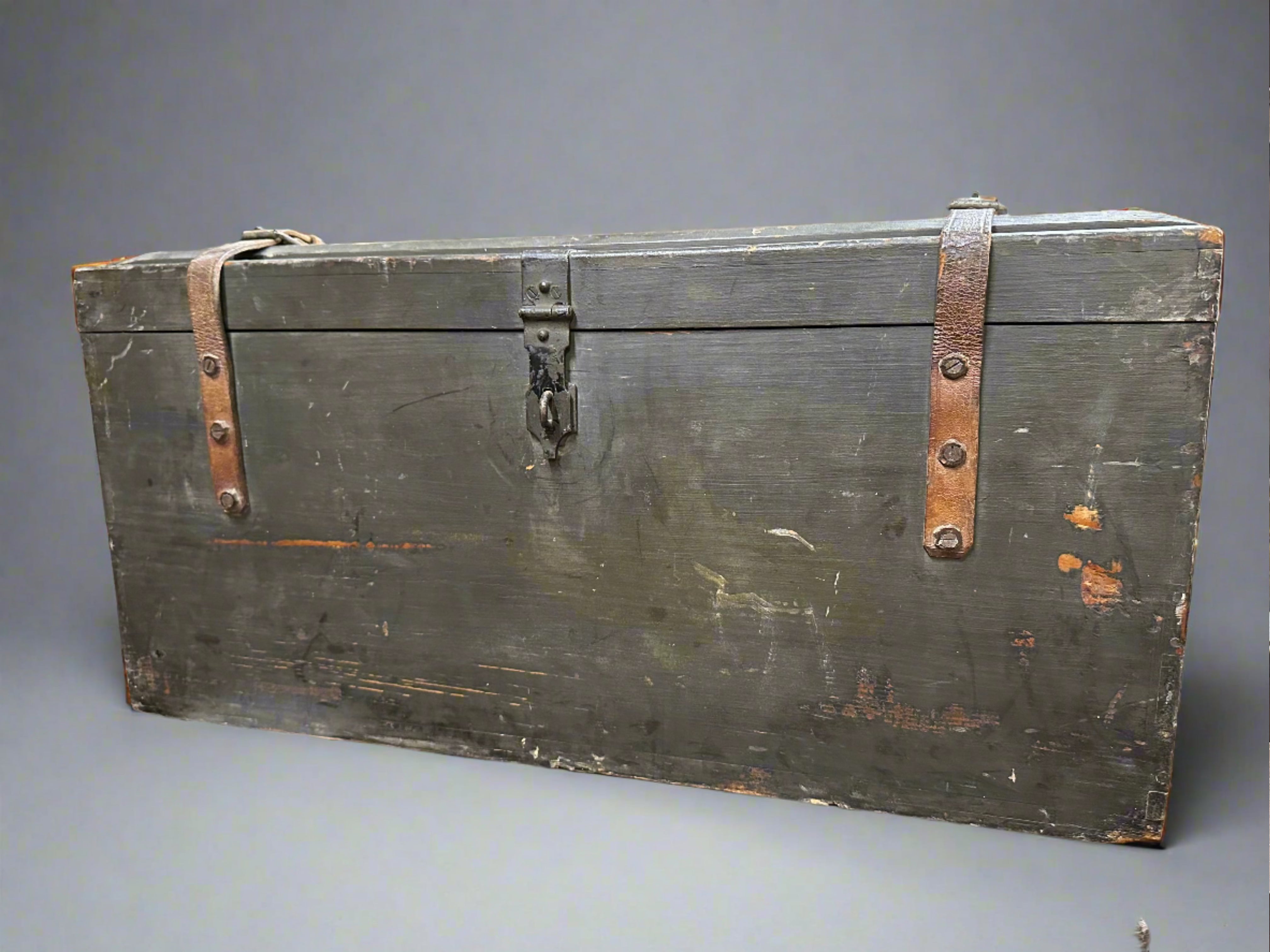 Travel Trunk in BLACK with Labels