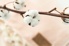 organic cotton