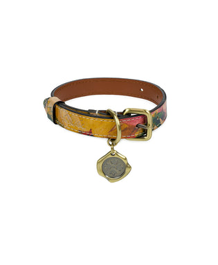 Designer Leather Dog Collars & Leashes