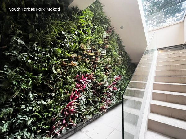 Plant Wall & Vertical Gardens - South Forbes Park Makati