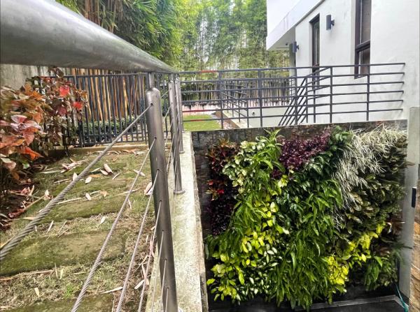 Plant Wall & Vertical Gardens - Ayala Greenfield Calamba