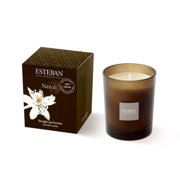 Esteban Cèdre Scented Decorative Bouquet Diffuser & Its Refill - 100 ml