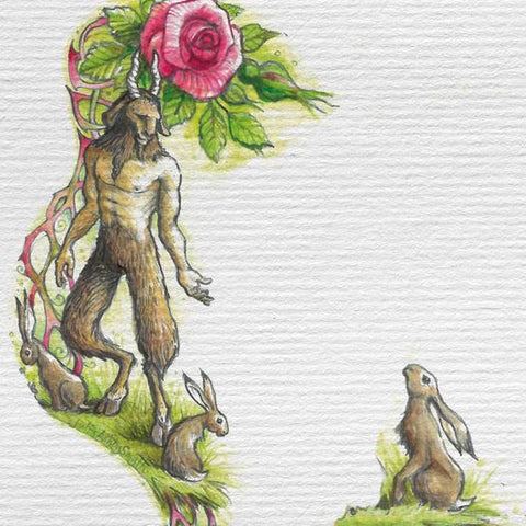 Fynoderee and Hares - Elder Shee Rose Label