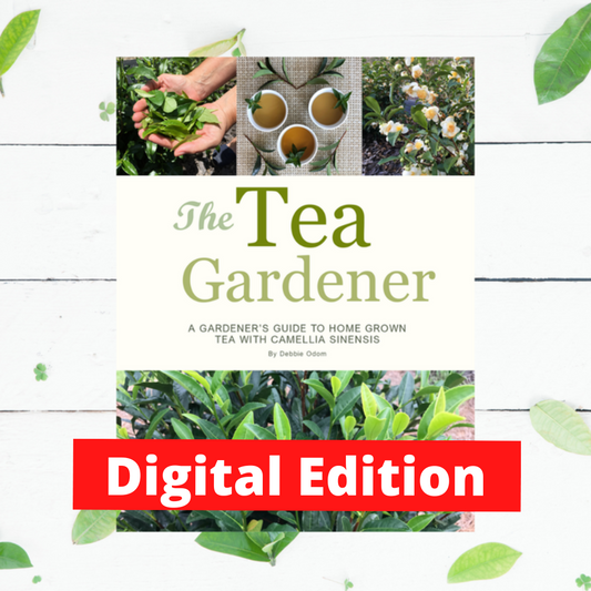 Camellia – Tea Scale  Walter Reeves: The Georgia Gardener