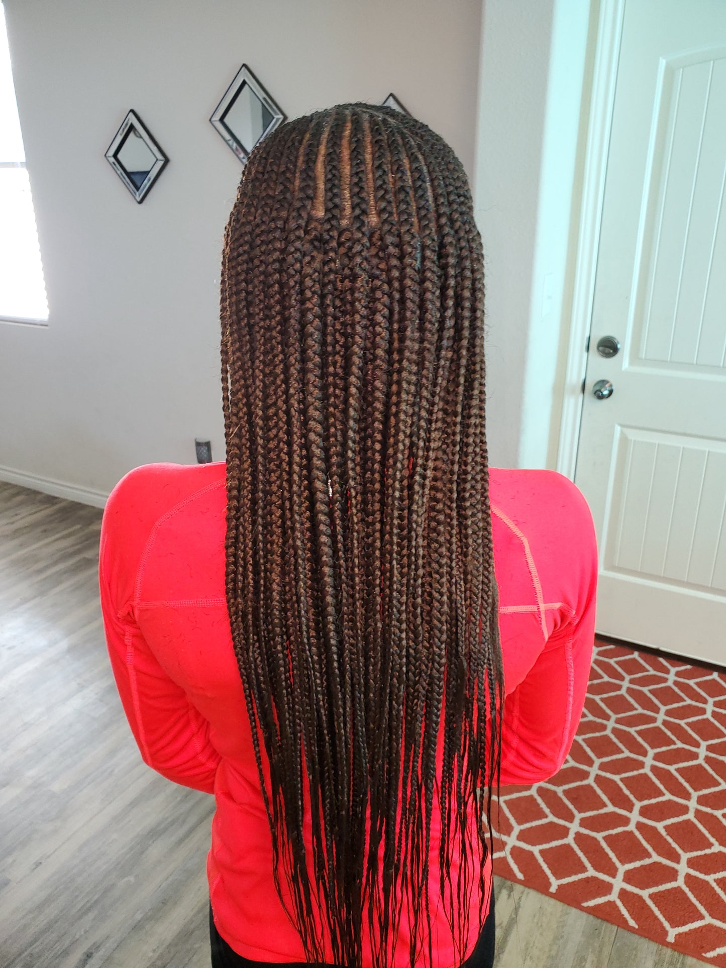 Fuluni braids (feed in front and knotless back) – Clenched Beauty