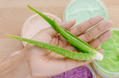 Aloe Vera nach dem Sonnenbad