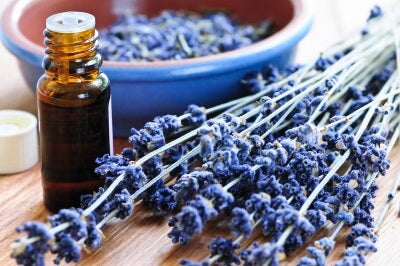 Lavendelöl - Natürliche Behandlungen bei Kopfschmerzen