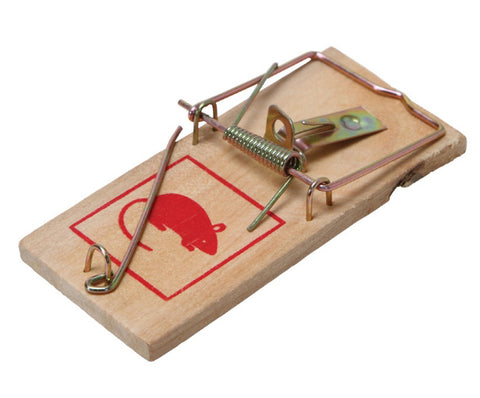 traditional mouse trap