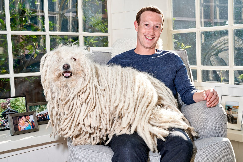 Mark Zuckerberg sitting with his dog