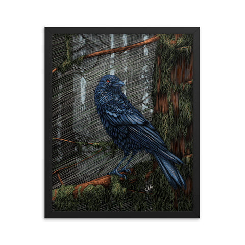 A framed art print of a raven standing on a tree branch.  The tree is covered with moss.  The forest behind the raven is foggy and and the trees become more hazy as they go off in the distance.