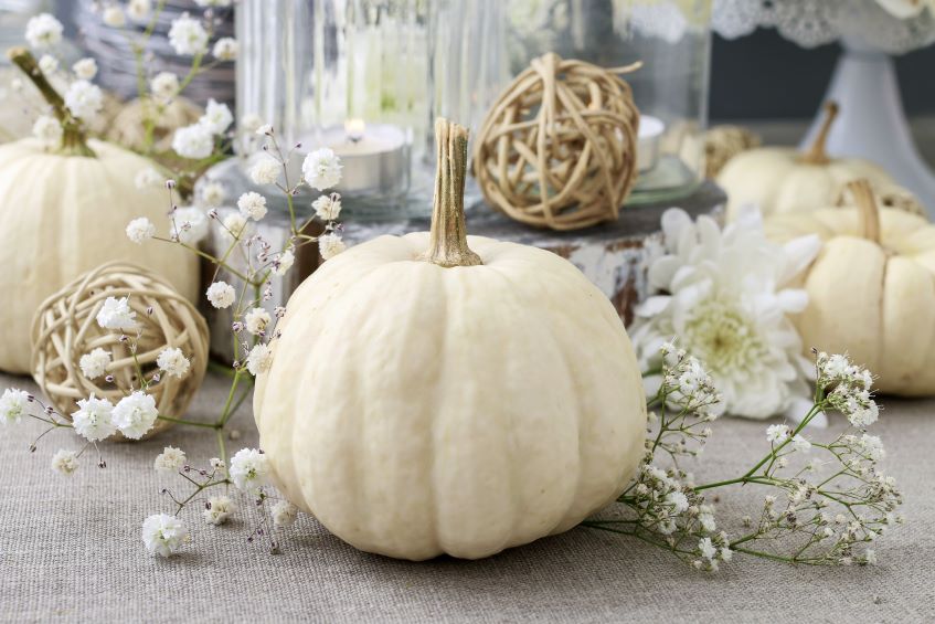 white pumpkin centerpiece