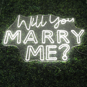 Will You Marry Me Neon Sign