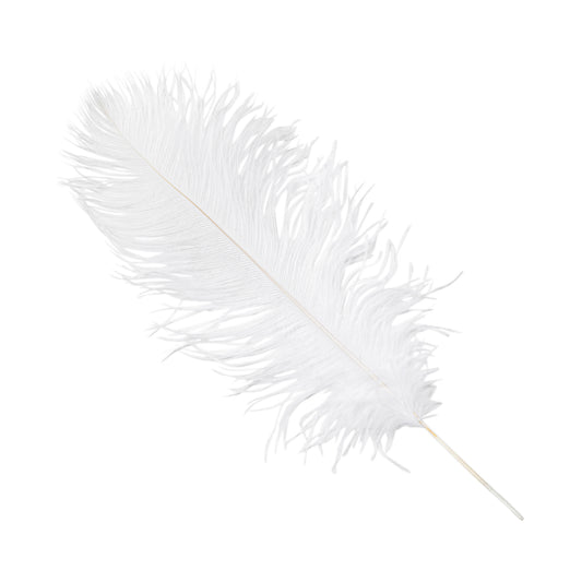 12 pcs White Ostrich feather plume 20-24 inch 