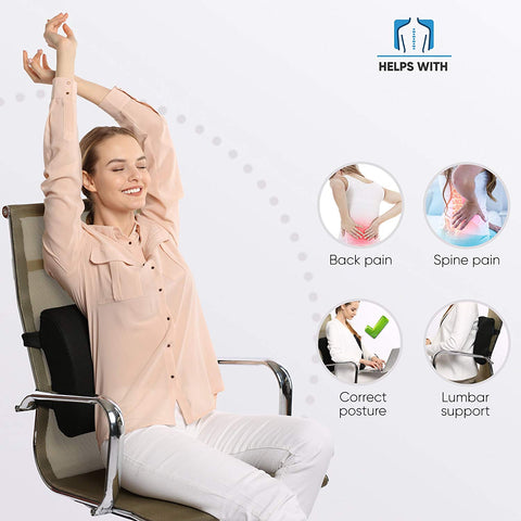 back and lumbar support cushions