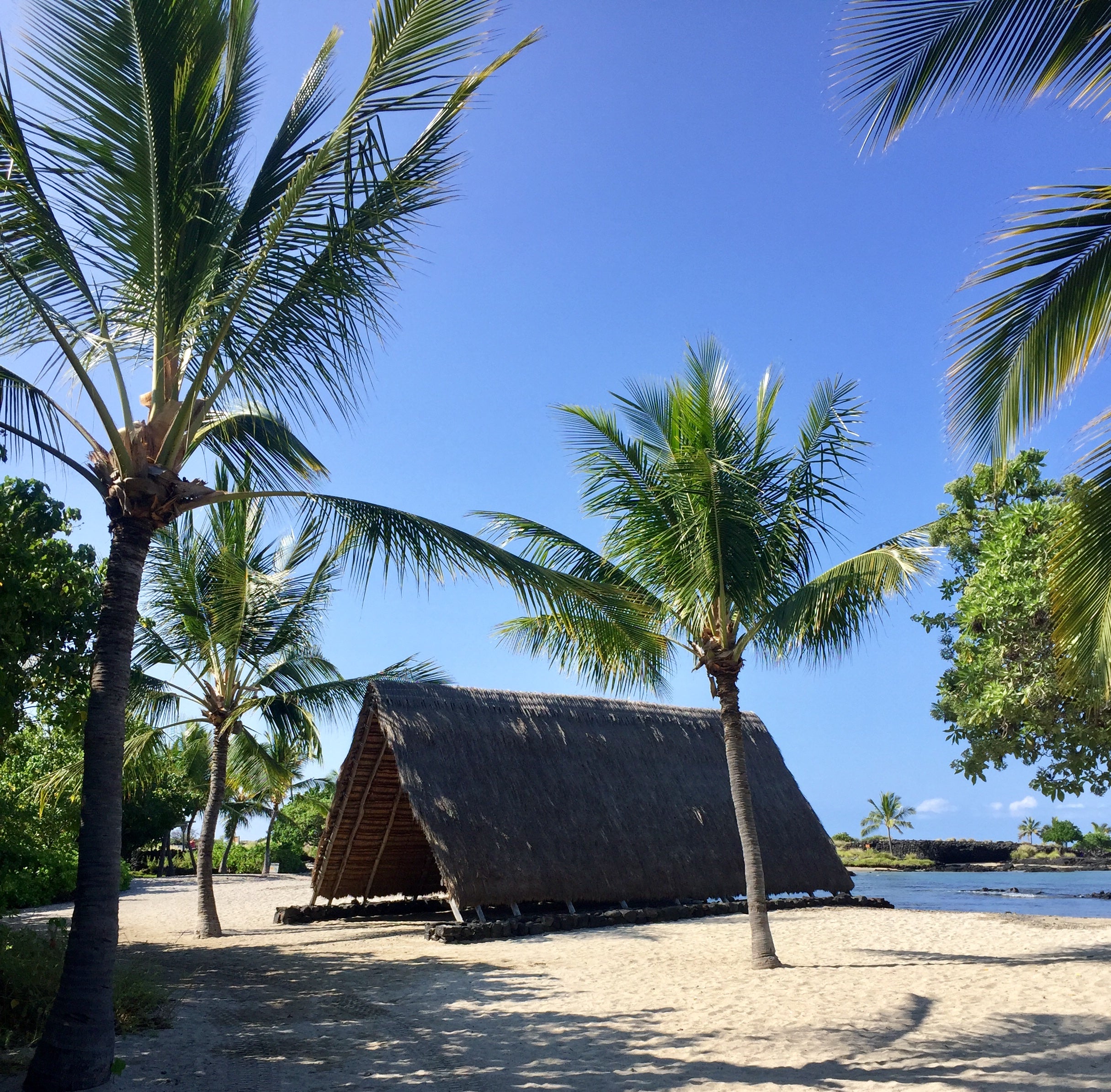 Traditional huts on the Big Island