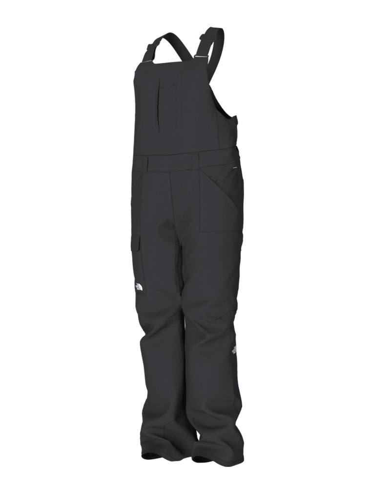  THE NORTH FACE Women's Freedom Insulated Bib (Standard and Plus  Size) - Short, TNF Black, X-Small Short : Clothing, Shoes & Jewelry