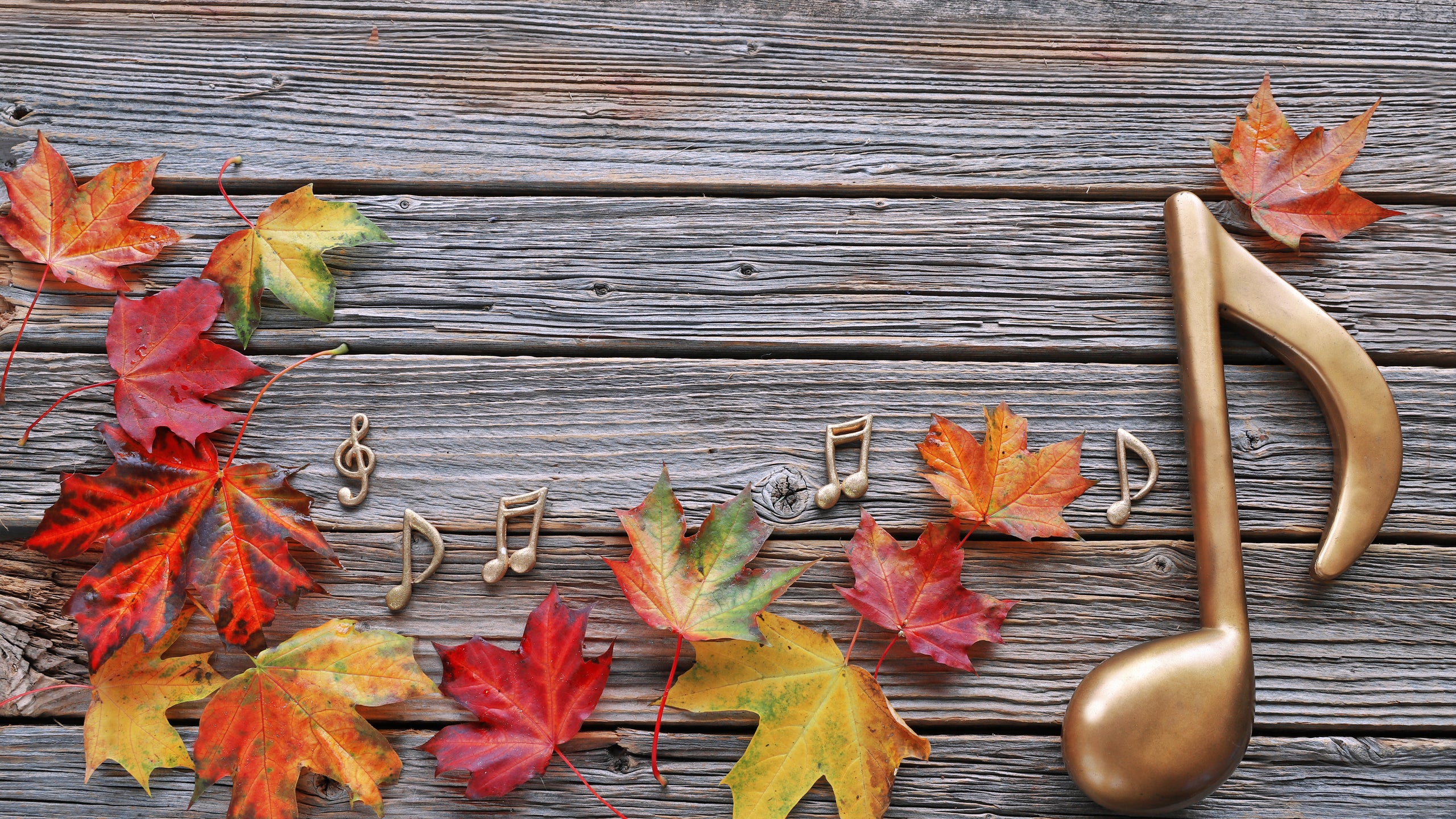 Thanksgiving Christian Songs | Love in Faith