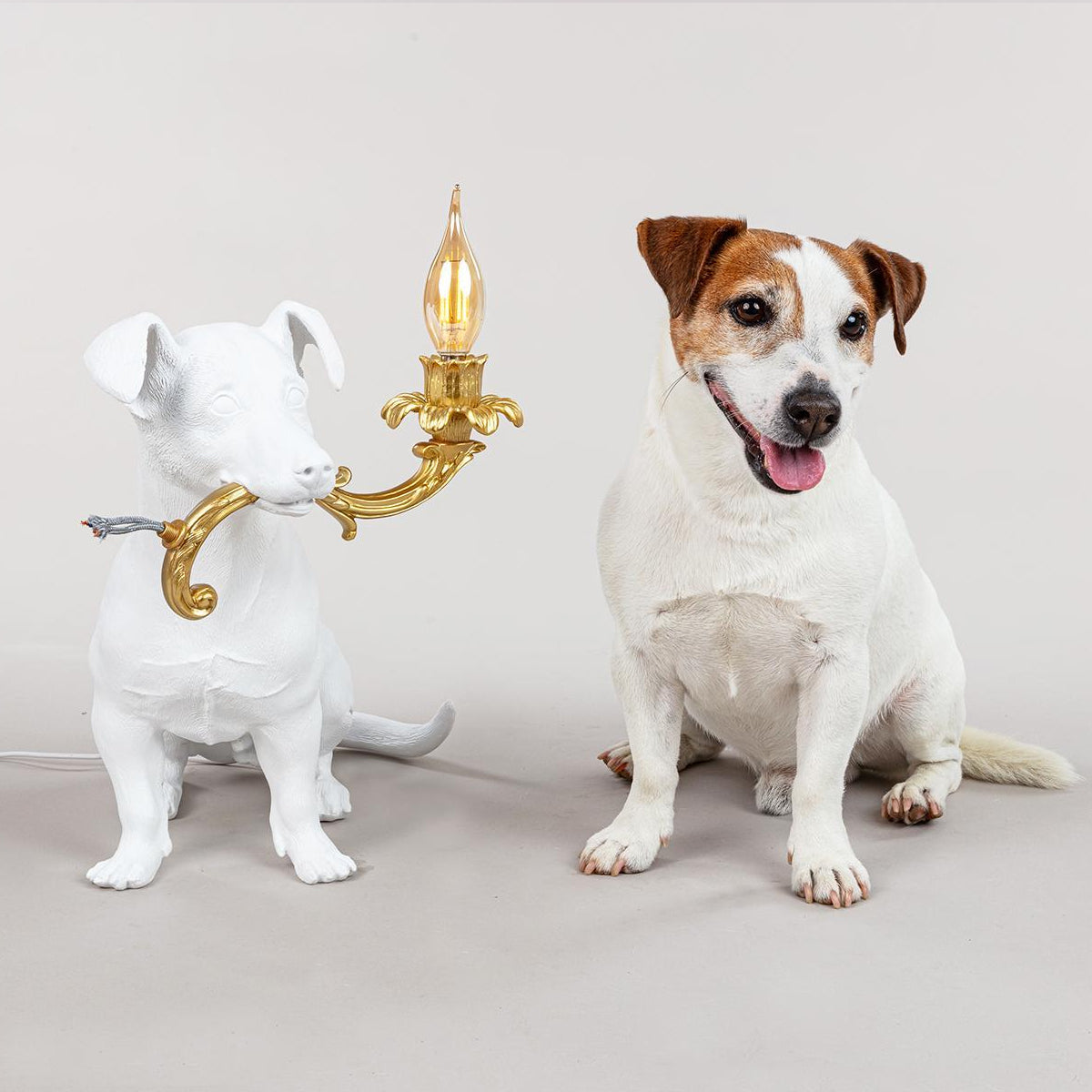 jack russell lamp