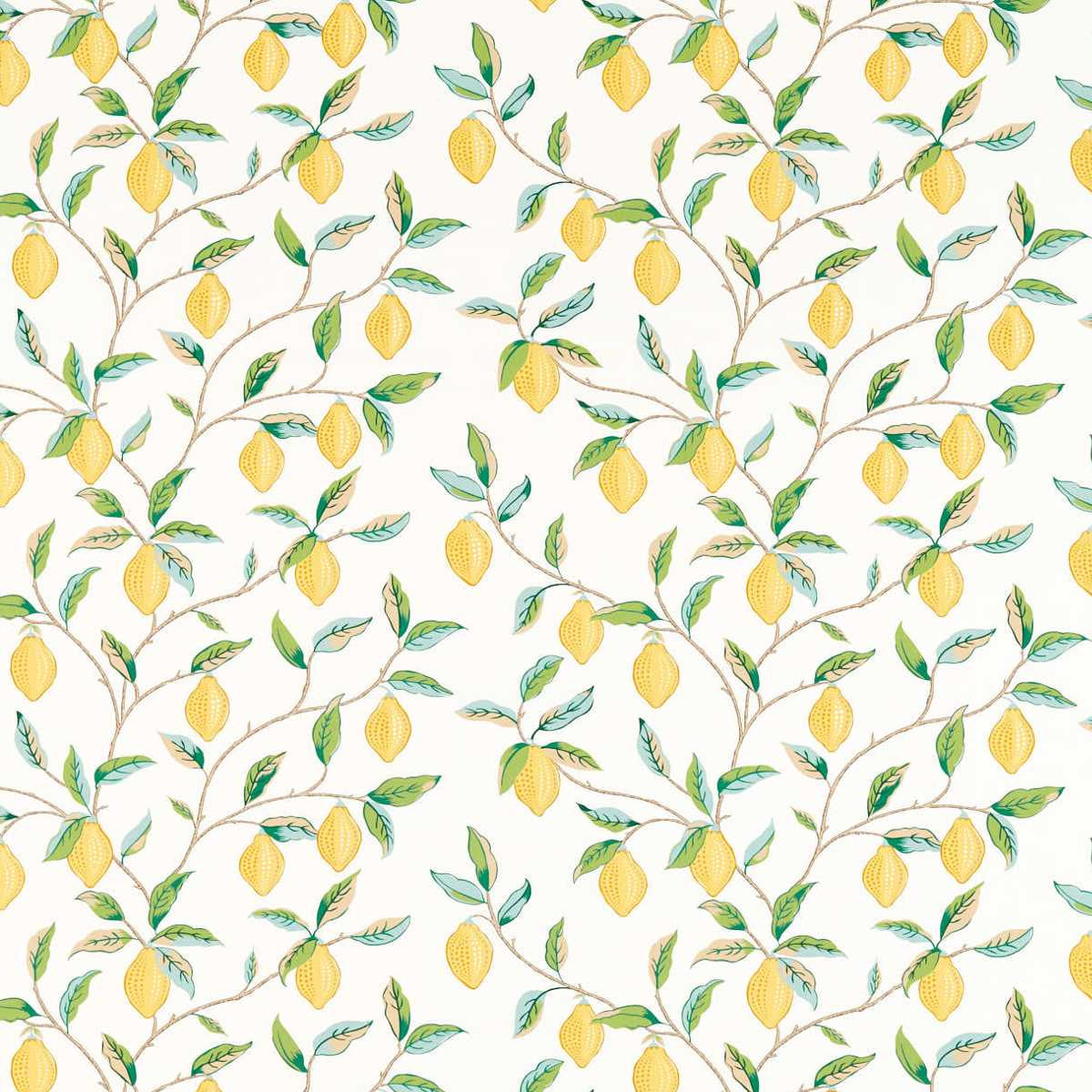 Fantastic Lemon Tree Wallpaper 6789029