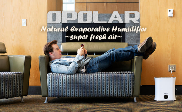 OPOLAR 0.8Gal Evaporative Humidifier