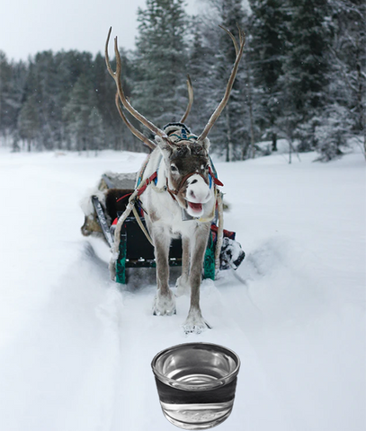 Reindeer