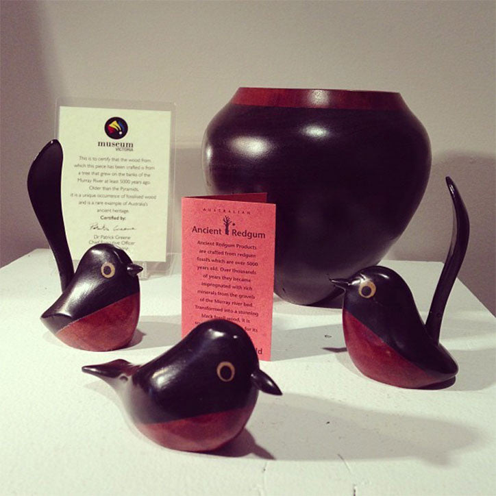 Ancient Australian Redgum Bird