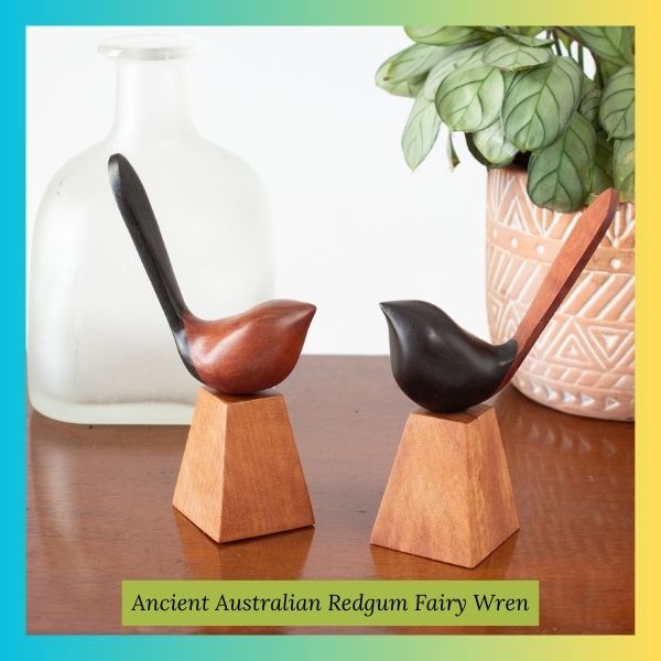 Ancient Australian Redgum Fairy Wren