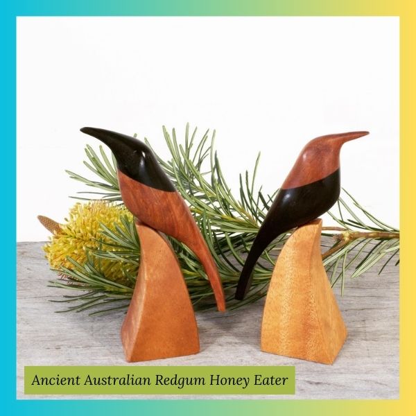 Ancient Australian Redgum Honey Eater