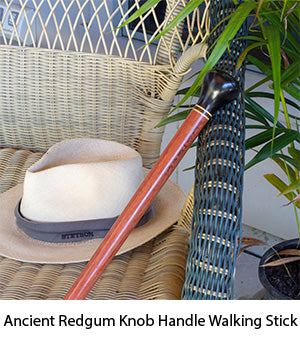 Ancient Redgum Knob Handle Walking Stick
