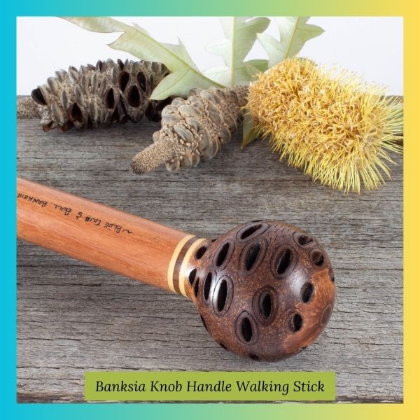 Banksia Knob Handle Walking Stick