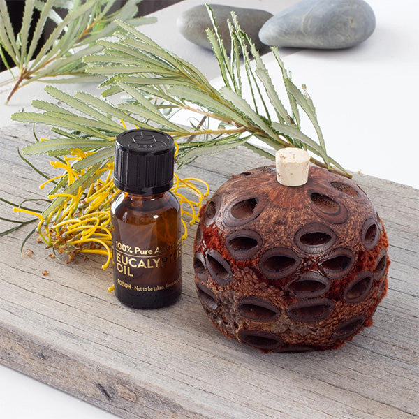 A delightful fragrance diffuser set featuring a handmade Banksia scent pot and fragrant oil.