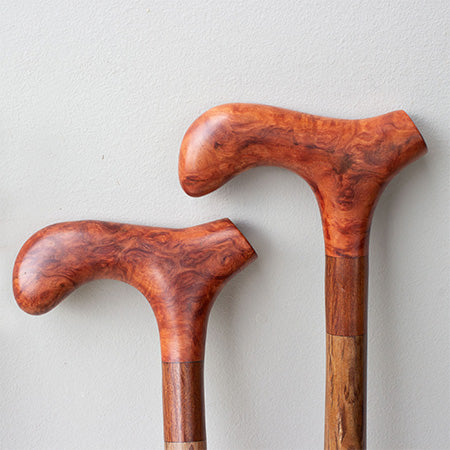 Hand-carved T-bar handle walking stick