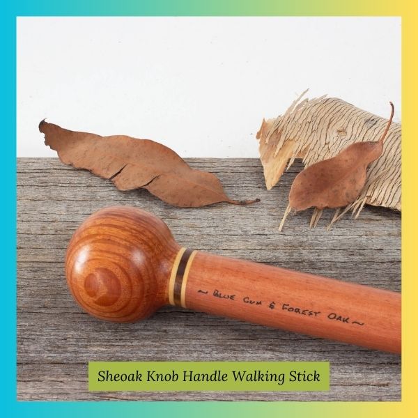 Sheoak Knob Handle Walking Stick