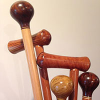 Photo of Walking Sticks 2